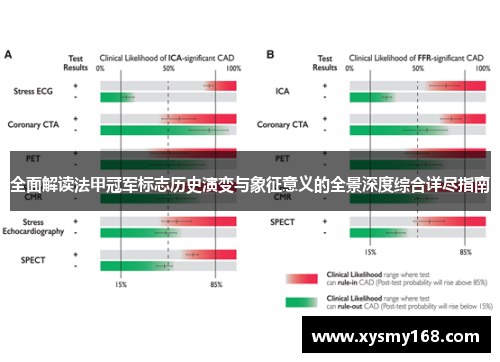 全面解读法甲冠军标志历史演变与象征意义的全景深度综合详尽指南