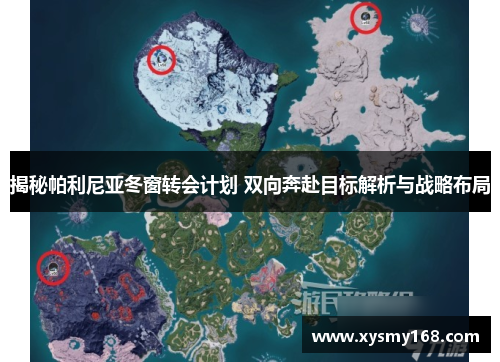 揭秘帕利尼亚冬窗转会计划 双向奔赴目标解析与战略布局