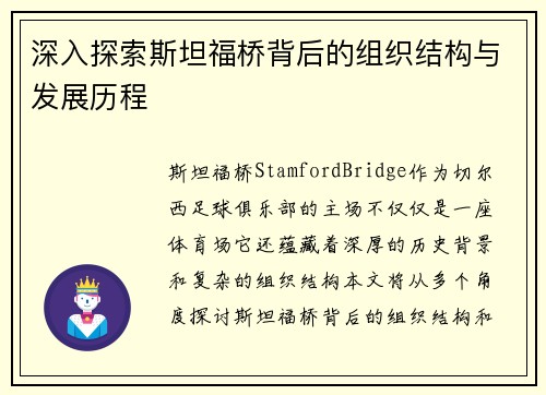 深入探索斯坦福桥背后的组织结构与发展历程